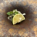 用户对于鮨 Suntos的评论图