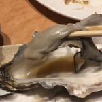 用户对于函館あかちょうちん的评论图