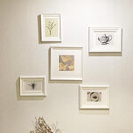 User's review image for papillon