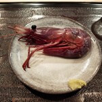 用户对于鮨わたなべ 札幌店的评论图