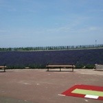 User's review image for 花のCAFE