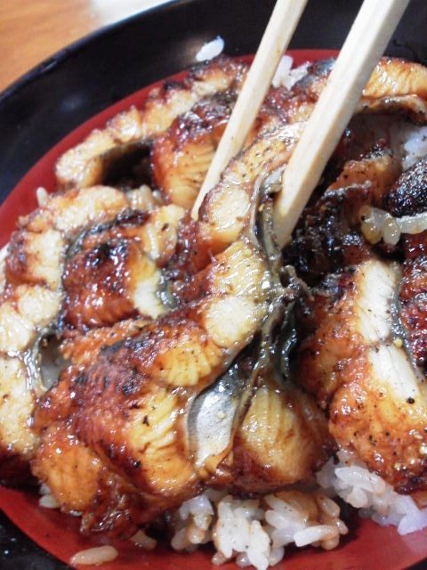 用户对于森本うなぎ屋的评论图