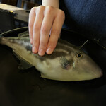 用户对于魚と旬菜と日本酒　炙りのどまん中的评论图