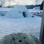 用户对于ゴテンザン ティーラボ的评论图