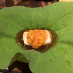 用户对于夕月的评论图