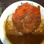 用户对于CoCo壱番屋 東急戸越銀座駅前店的评论图