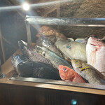 User's review image for なきざかな 新宿店はなれ