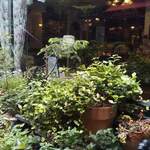 User's review image for オールド・ローズ・ガーデン