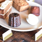 User's review image for Camphora