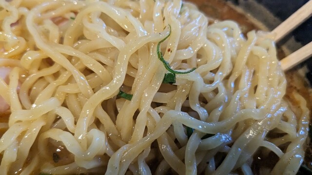 用户对于麺ジャラスK的评论高清图