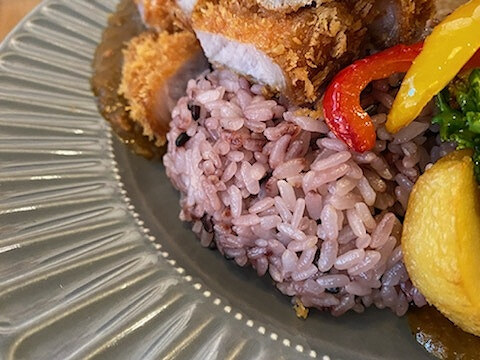 用户对于京フジハルカレー的评论高清图