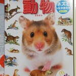 User's review image for マクドナルド 錦糸町オリナス店