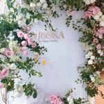 User's review image for MOSKA by GingerGarden