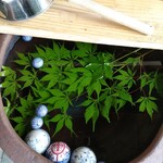 用户对于いし豆的评论图