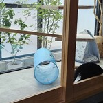 用户对于喫茶 ネコトマメ的评论图