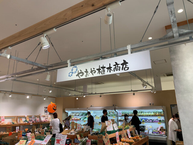 用户对于やおや植木商店的评论高清图