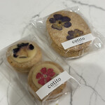 用戶對於コチト ハナトオカシト的評論圖