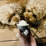 User's review image for PATISSIERE MAYO flat