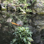 User's review image for 東山 ハイアット リージェンシー 京都