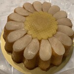 User's review image for ホレンディッシェ・カカオシュトゥーベ 新宿伊勢丹店
