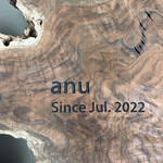 User's review image for anu