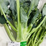 User's review image for 新鮮ひろば かのな