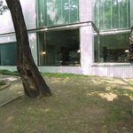 用戶對於きねずみ的評論圖