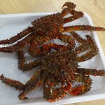 用户对于おもひで食堂的评论图