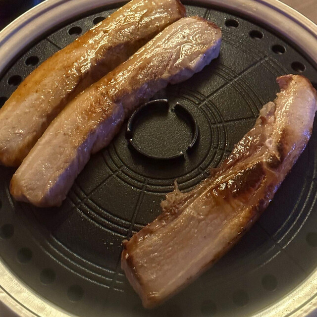 User's recommendation image for ハンマリドチキン