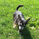 用戶對於いよだ製菓的評論圖