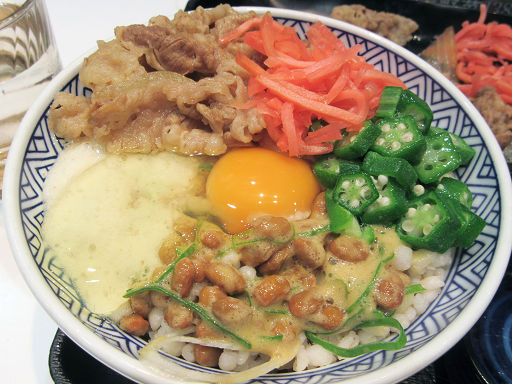 用户对于吉野家 御堂筋難波店的评论图