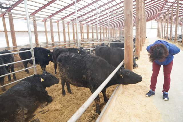 用户对于おぐに牧場牛肉販売所的评论高清图