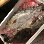 User's review image for 旬鮮酒場 八