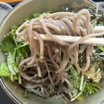 用户对于帯広 そば処 カブト的评论图