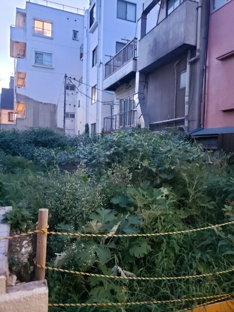 用戶對於炭火やきとり 駅 下北沢店的評論高清圖