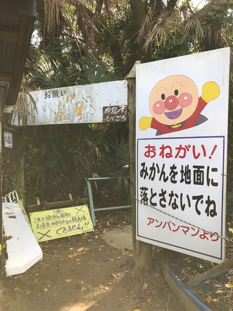 用戶對於城山オレンヂ園的評論高清圖
