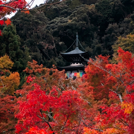 User's review image for みかえり茶屋