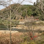 用户对于琴ケ瀬茶屋的评论图