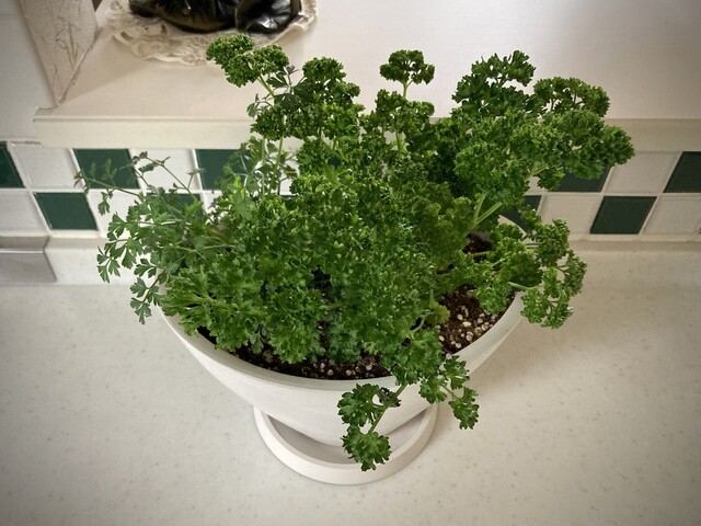 User's recommendation image for 新鮮ひろば かのな