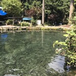 用戶對於辻野養魚場的評論圖