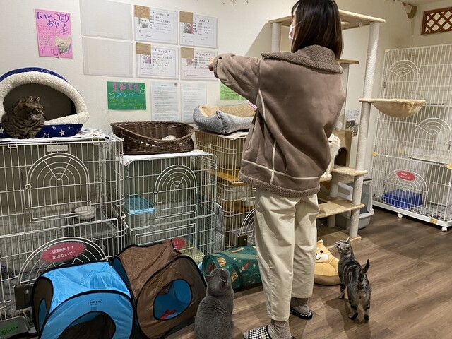 User's recommendation image for 保護犬＆保護猫カフェ 寺田町店