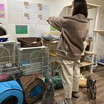 User's review image for 保護犬＆保護猫カフェ 寺田町店