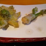 用户对于天ぷら ころも second Season的评论图