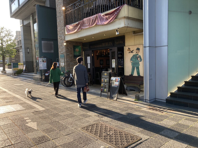 用户对于ダブリン的评论高清图