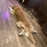 User's review image for cafe de monca