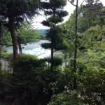 用户对于クニッテル的评论图