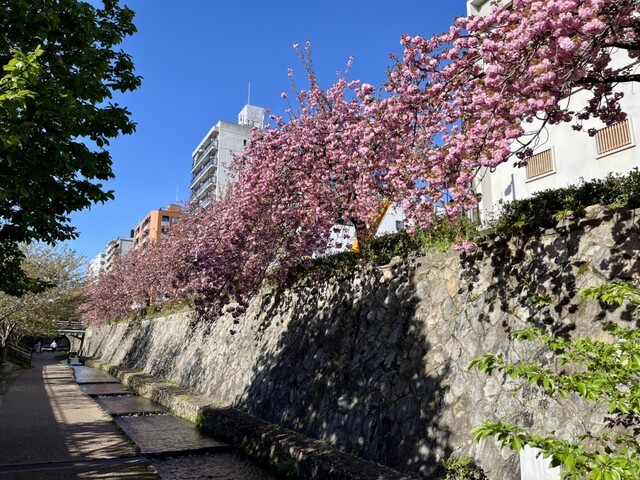 User's recommendation image for ヒルランタン