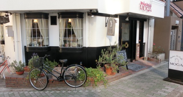 User's review image for MOGA