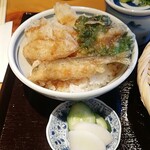 用户对于天ぷら ころも second Season的评论图