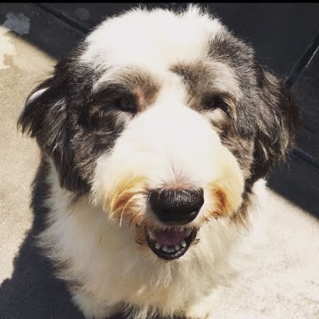 User's review image for モーツアルト 自由が丘北口売店